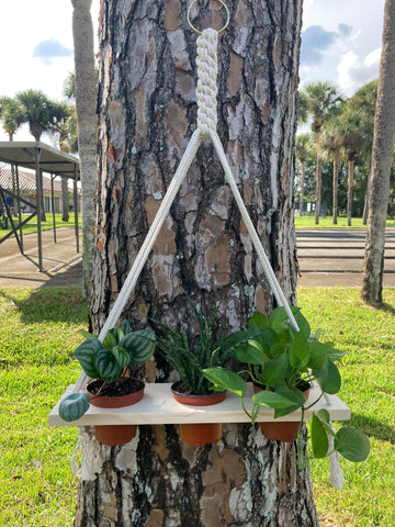 Macrame that fits three 4” pots